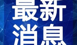 湖北大叔爆料视频最新,揭秘当地神秘事件真相